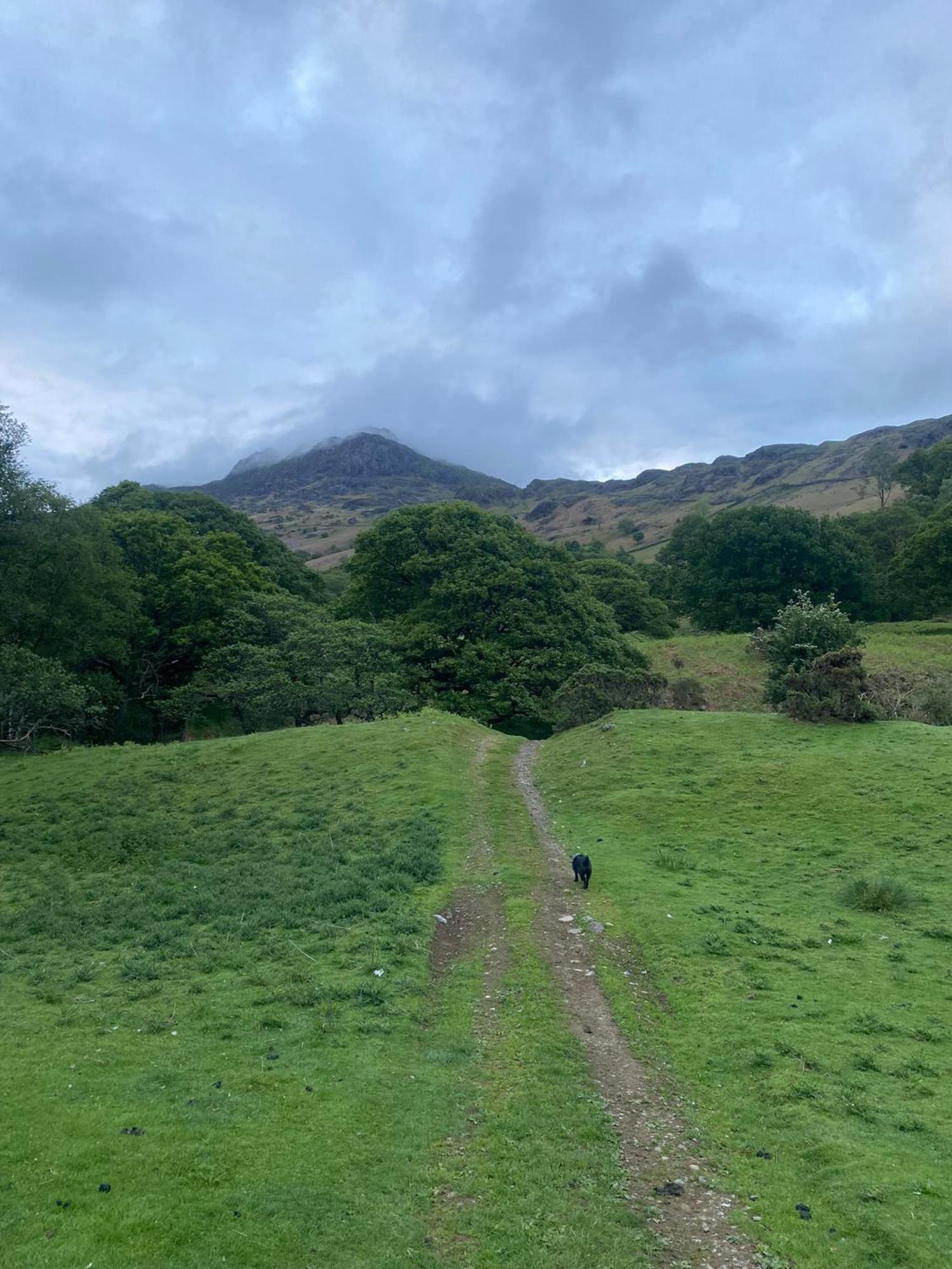 Cosy Glamping In The Eskdale Valley - Studio Lodges And Mega Pods Екстериор снимка