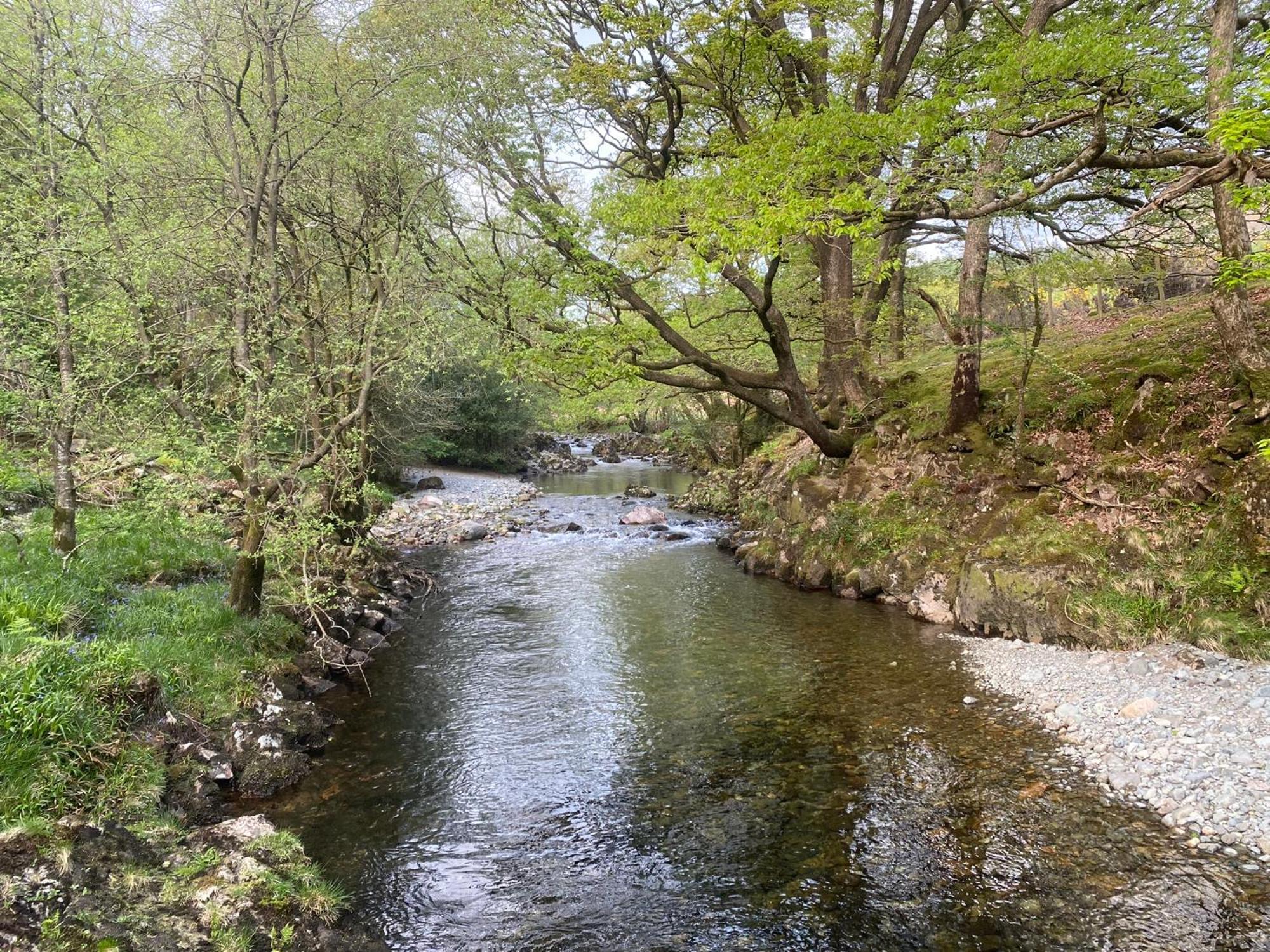 Cosy Glamping In The Eskdale Valley - Studio Lodges And Mega Pods Екстериор снимка